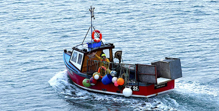 Image for Don't Miss The Boat.