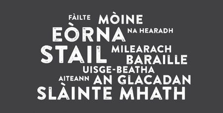 Image for A bheil gàidhlig agaibh?