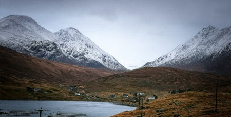Image for The island winter