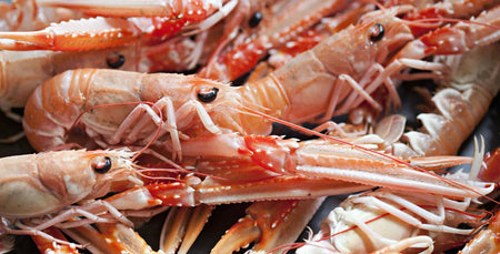 Image for For The Love of Langoustines