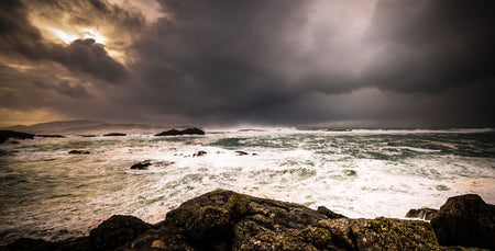 Image for A Winter Sea Change