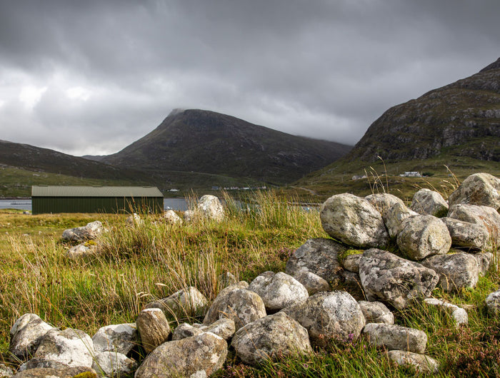 20 Harris Highlights From 2021