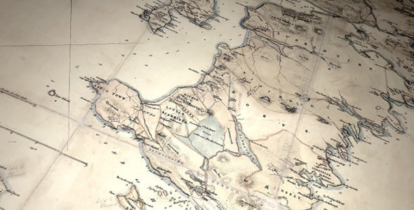 The Diaspora Project