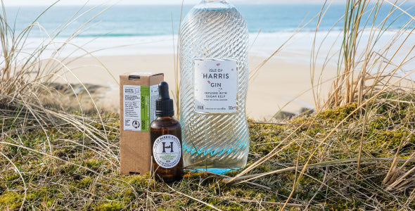 The Magic Of Meadowsweet