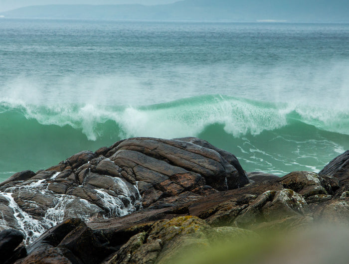 More Seaweed Stories
