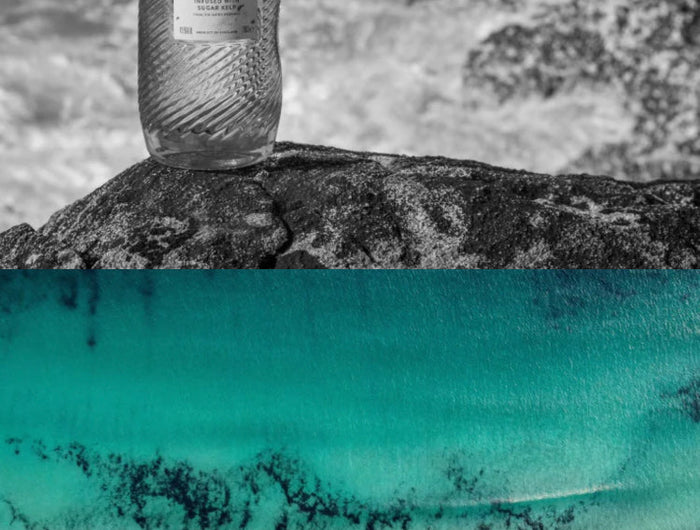 <h1>FROM THE SEA</h1>