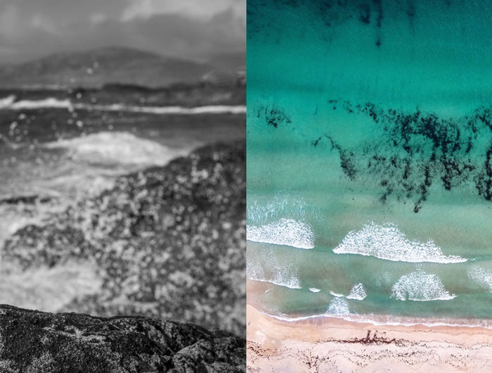 <h1>FROM THE SEA</h1>