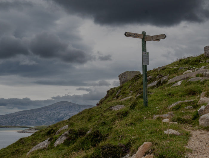 <h1>INTERNATIONAL PARTNERS</h1>