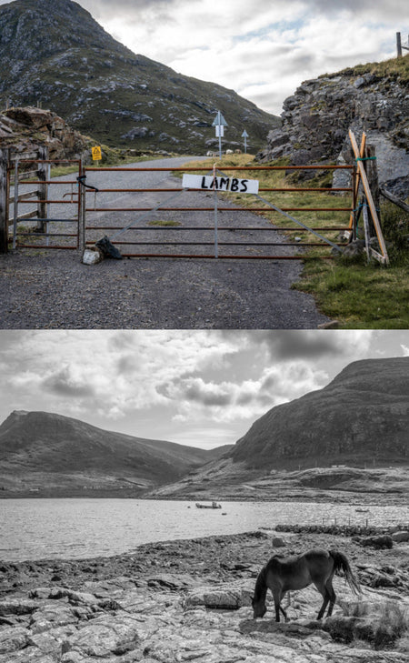 stornoway distillery tour